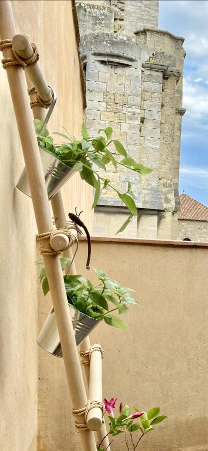 Tresors De La Cathedrale, Maison De Ville Sur 4 Niveaux Narbona Exterior foto